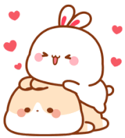 Two cute cats